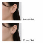 ÉCLATINE Noir Classic Stud Earrings